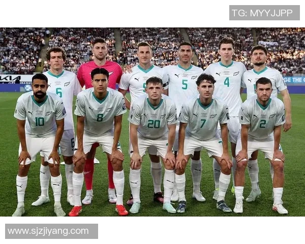 2026年足球世界杯外围赛球队晋级形势分析及预测展望