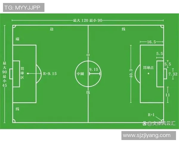 足球联赛点球成功率及战术研究